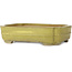 Mokko yellow bonsai pot by Hattori - 310 x 235 x 75 mm