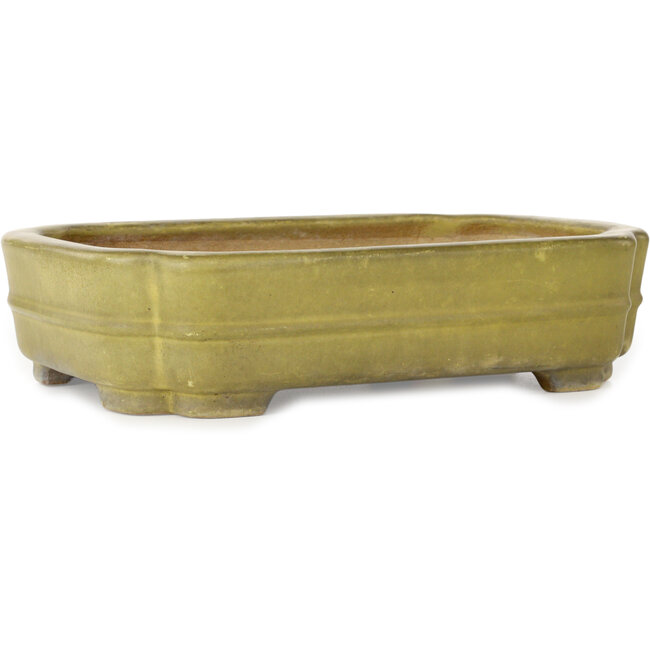 Mokko gelber Bonsaitopf von Hattori – 310 x 235 x 75 mm