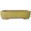 Maceta para bonsái amarilla Mokko de Hattori - 310 x 235 x 75 mm