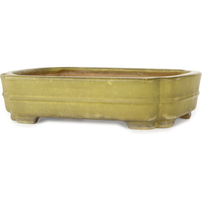 Vaso bonsai giallo Mokko di Hattori - 310 x 235 x 75 mm