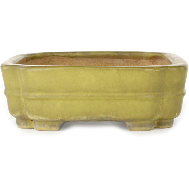 Pot à bonsaï jaune Mokko de Hattori - 310 x 235 x 75 mm