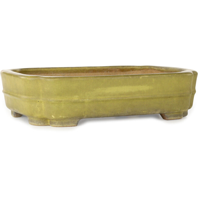 Mokko yellow bonsai pot by Hattori - 310 x 235 x 75 mm