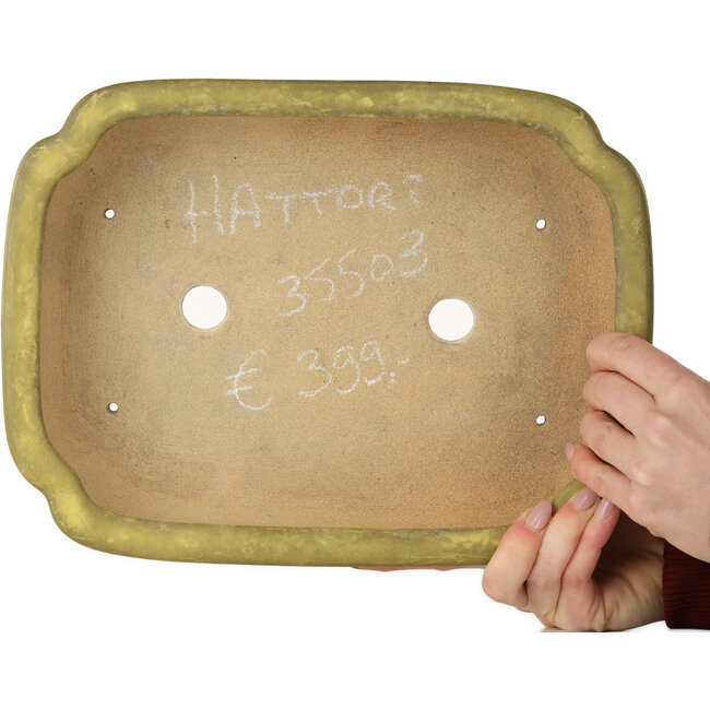 Pot à bonsaï jaune Mokko de Hattori - 310 x 235 x 75 mm