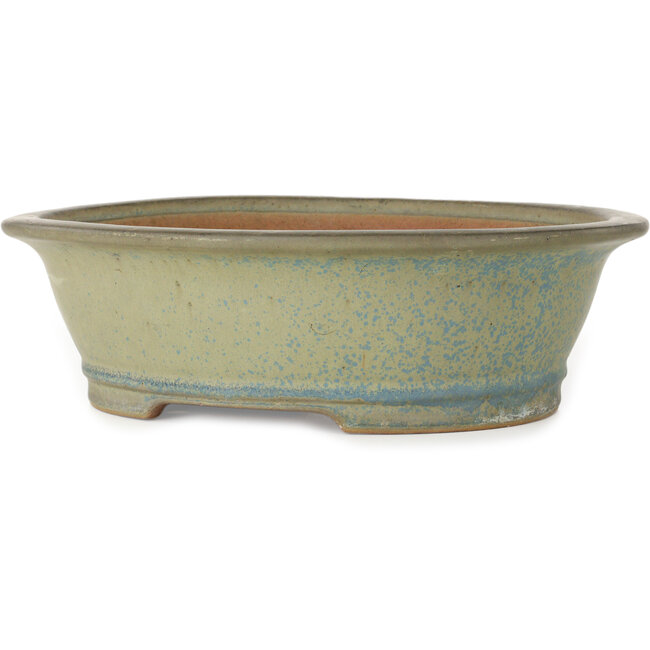 Ovale mosgroene en blauwe bonsaipot van Seizan (Reihou, Kataoka Katsushi, meester Seizan oven) - 320 x 265 x 95 mm