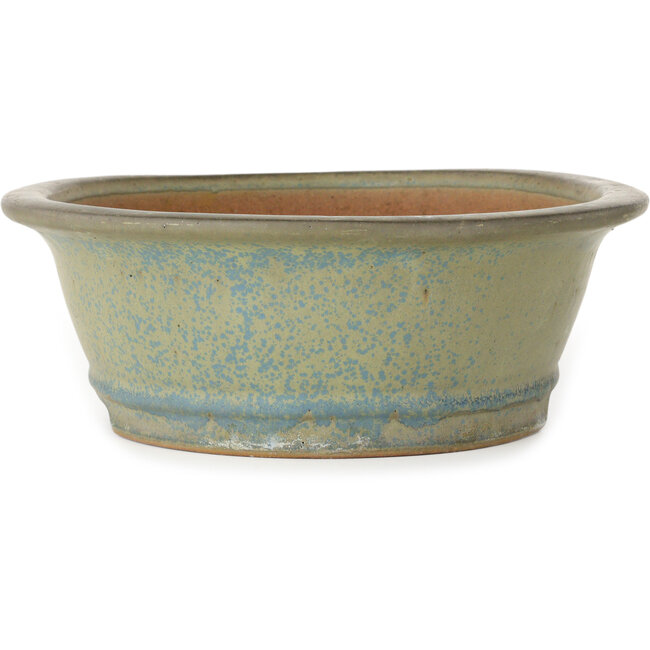 Ovale mosgroene en blauwe bonsaipot van Seizan (Reihou, Kataoka Katsushi, meester Seizan oven) - 320 x 265 x 95 mm