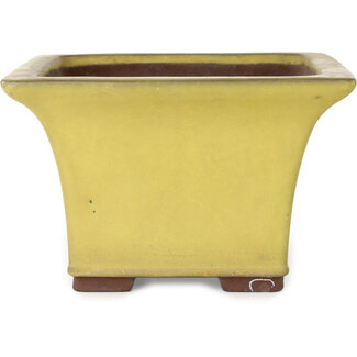  Yamaaki Pot à bonsaï carré jaune de 227 mm par Yamaaki, Tokoname, Japon