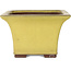Maceta cuadrada amarilla para bonsái de Yamaaki - 227 x 227 x 145 mm