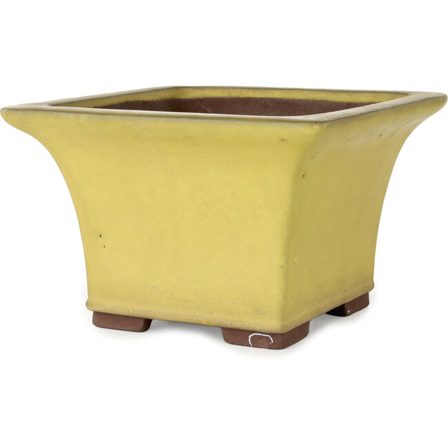 Vierkante gele bonsaipot van Yamaaki - 227 x 227 x 145 mm