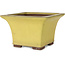 Vaso bonsai quadrato giallo di Yamaaki - 227 x 227 x 145 mm