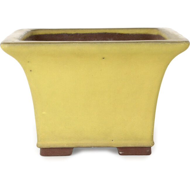 Maceta cuadrada amarilla para bonsái de Yamaaki - 227 x 227 x 145 mm