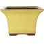 Maceta cuadrada amarilla para bonsái de Yamaaki - 227 x 227 x 145 mm