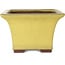 Vaso bonsai quadrato giallo di Yamaaki - 227 x 227 x 145 mm