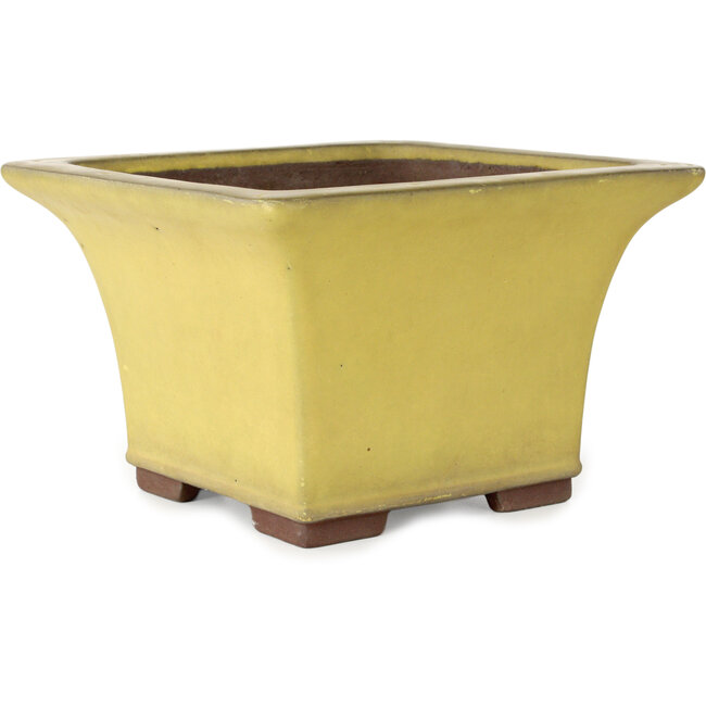 Maceta cuadrada amarilla para bonsái de Yamaaki - 227 x 227 x 145 mm