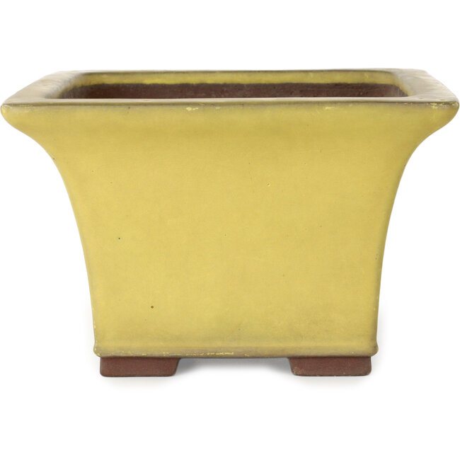 Maceta cuadrada amarilla para bonsái de Yamaaki - 227 x 227 x 145 mm