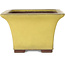 Vaso bonsai quadrato giallo di Yamaaki - 227 x 227 x 145 mm