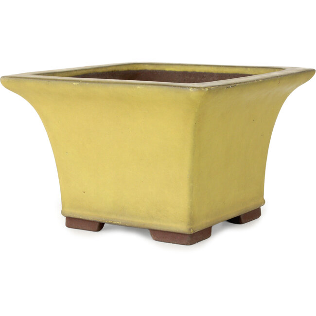 Vaso bonsai quadrato giallo di Yamaaki - 227 x 227 x 145 mm