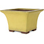 Maceta cuadrada amarilla para bonsái de Yamaaki - 227 x 227 x 145 mm