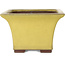 Maceta cuadrada amarilla para bonsái de Yamaaki - 227 x 227 x 145 mm