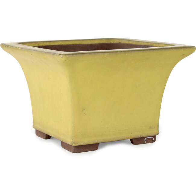 Vaso bonsai quadrato giallo di Yamaaki - 227 x 227 x 145 mm