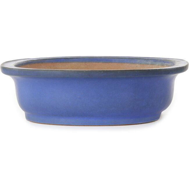 Ovale blauwe bonsaipot van Seizan (Reihou, Kataoka Katsushi, meester Seizan oven) - 410 x 335 x 92 mm