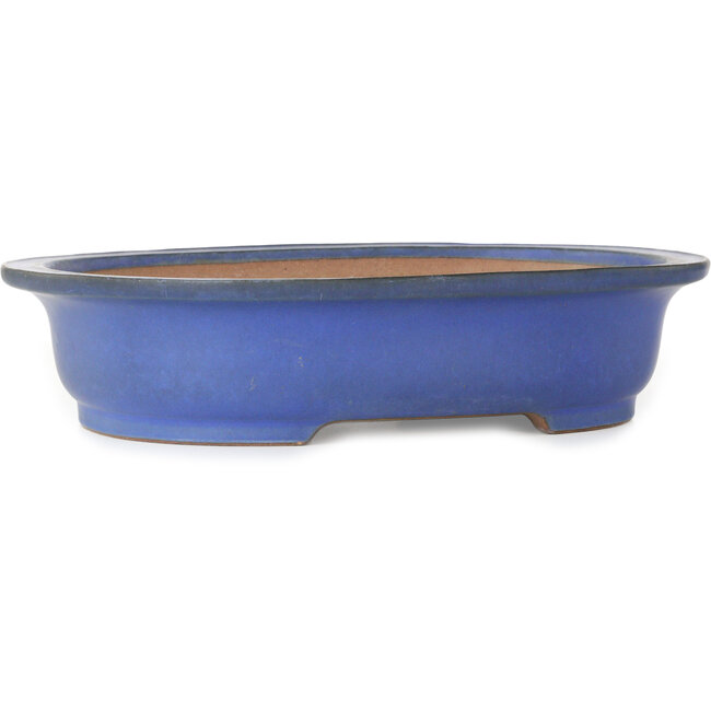 Vaso bonsai ovale blu di Seizan (Reihou, Kataoka Katsushi, forno del maestro Seizan) - 410 x 335 x 92 mm