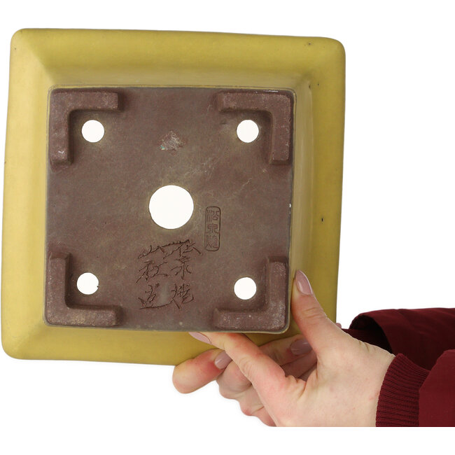Square yellow bonsai pot by Yamaaki - 227 x 227 x 145 mm