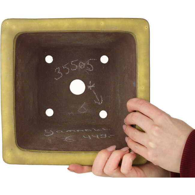 Square yellow bonsai pot by Yamaaki - 227 x 227 x 145 mm