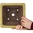 Maceta cuadrada amarilla para bonsái de Yamaaki - 227 x 227 x 145 mm