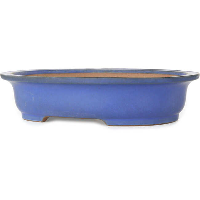 Oval blue bonsai pot by Seizan (Reihou, Kataoka Katsushi, master Seizan kiln) - 410 x 335 x 92 mm