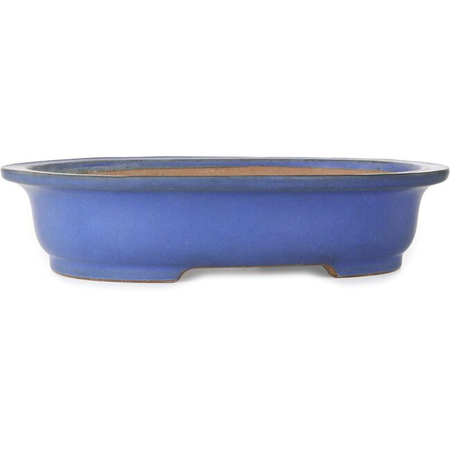 Pot à bonsaï ovale bleu par Seizan (Reihou, Kataoka Katsushi, maître four Seizan) - 410 x 335 x 92 mm