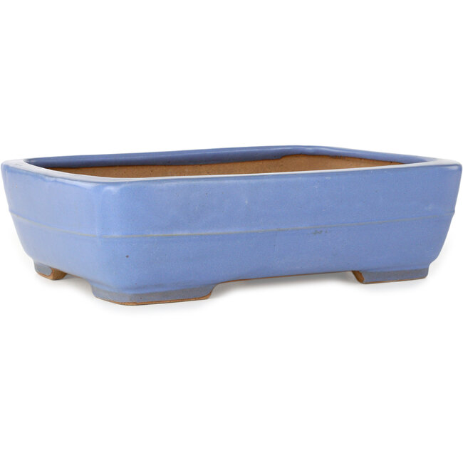 Rectangular blue bonsai pot by Yamafusa - 292 x 230 x 80 mm