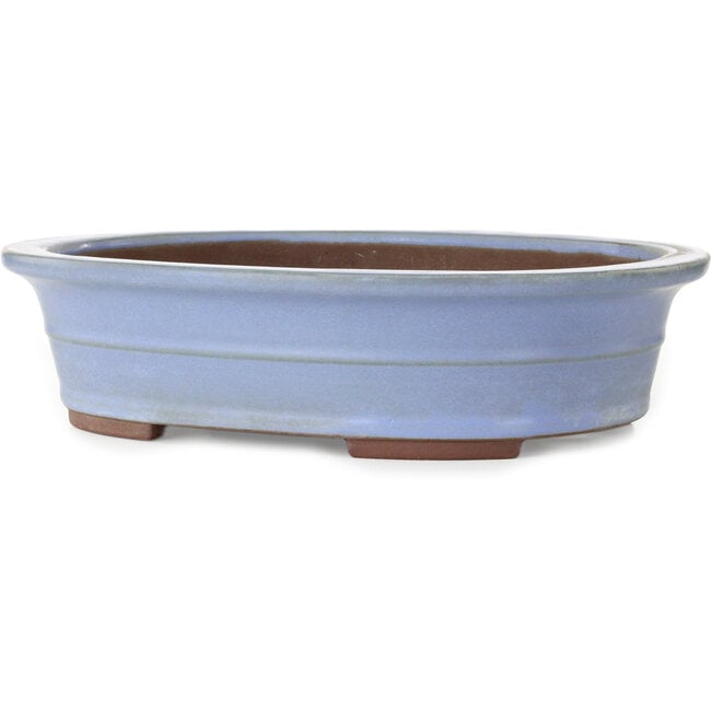 Maceta ovalada azul para bonsái de Yamaaki - 412 x 325 x 120 mm