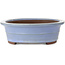 Oval blue bonsai pot by Yamaaki - 412 x 325 x 120 mm