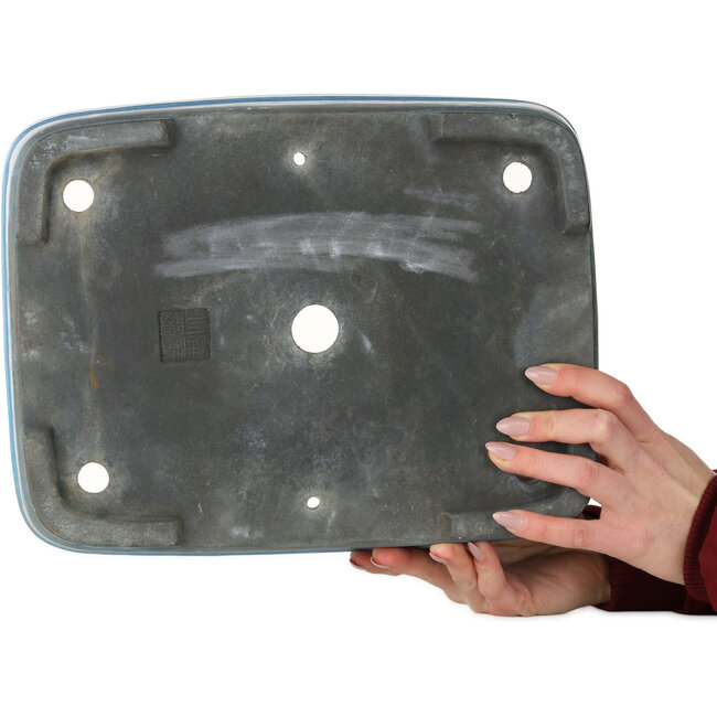 Maceta rectangular turquesa para bonsái de Aiba Koyou - 327 x 253 x 90 mm