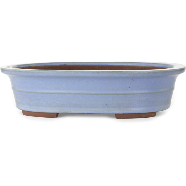 Maceta ovalada azul para bonsái de Yamaaki - 412 x 325 x 120 mm