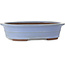 Ovale blauwe bonsaipot van Yamaaki - 412 x 325 x 120 mm