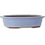 Vaso bonsai ovale blu di Yamaaki - 412 x 325 x 120 mm