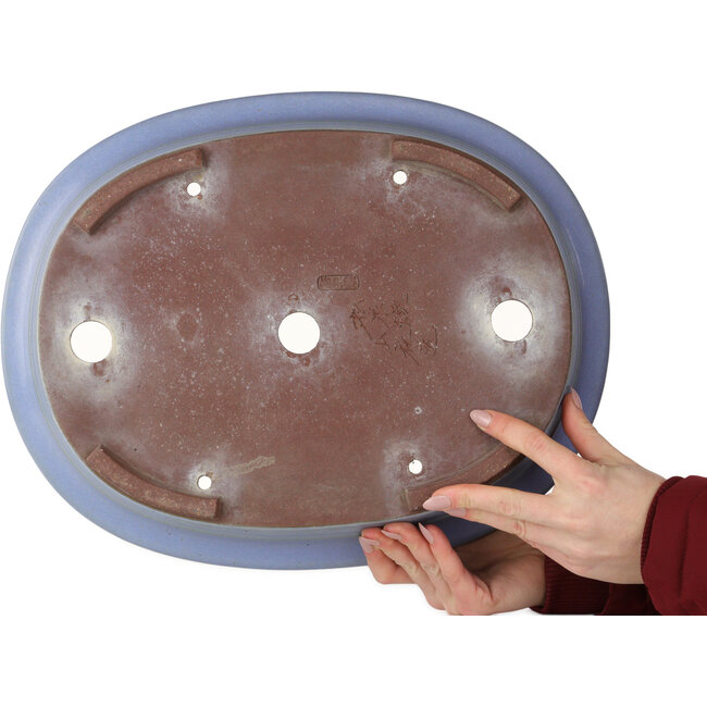 Ovale blauwe bonsaipot van Yamaaki - 412 x 325 x 120 mm