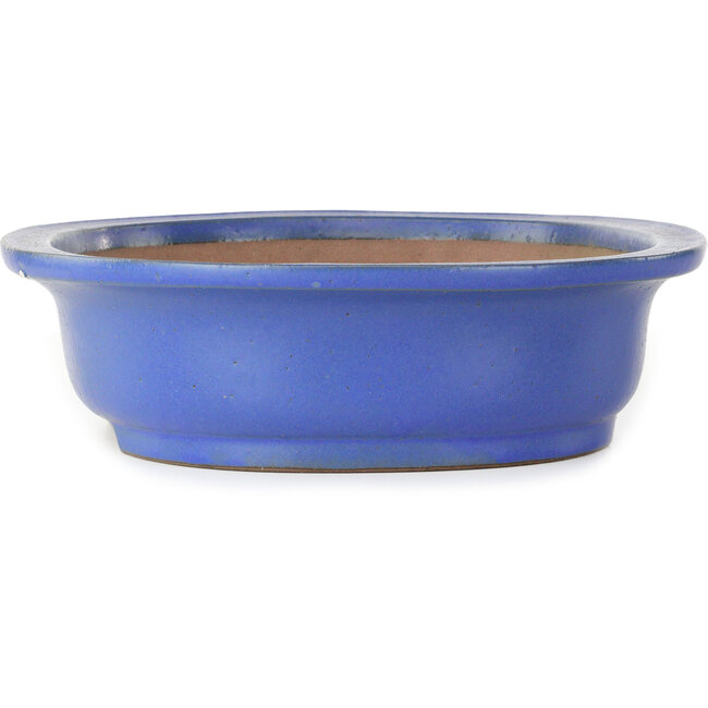 Vaso bonsai ovale blu di Seizan (Reihou, Kataoka Katsushi, forno del maestro Seizan) - 405 x 325 x 92 mm