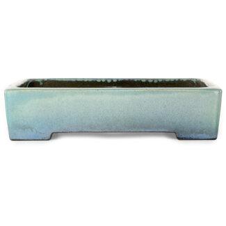 Koyou Maceta rectangular para bonsái turquesa de 293 mm de Aiba Koyou, Tokoname, Japón