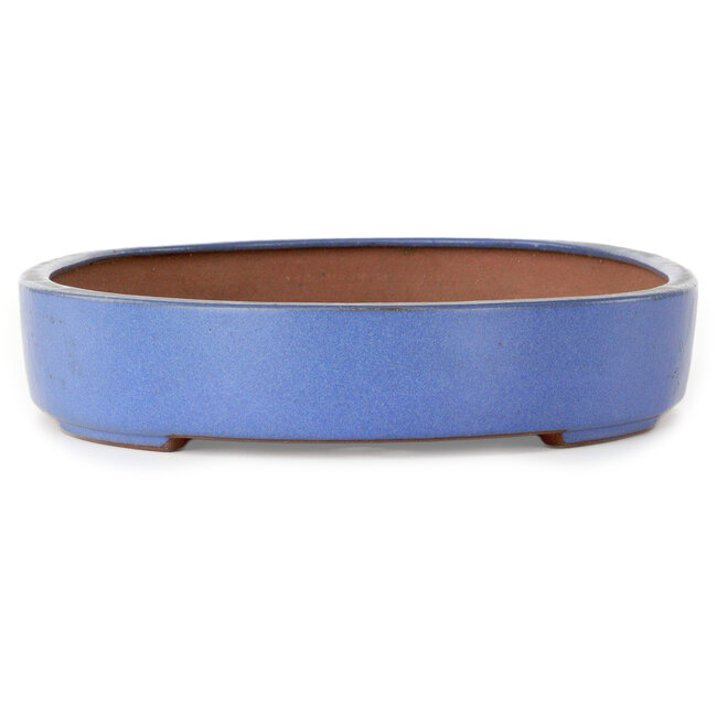 Ovaler blauer Bonsaitopf von Seizan (Reihou, Kataoka Katsushi, Meister Seizan-Ofen) – 345 x 255 x 52 mm
