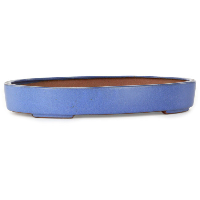 Vaso bonsai ovale blu di Seizan (Reihou, Kataoka Katsushi, forno del maestro Seizan) - 345 x 255 x 52 mm