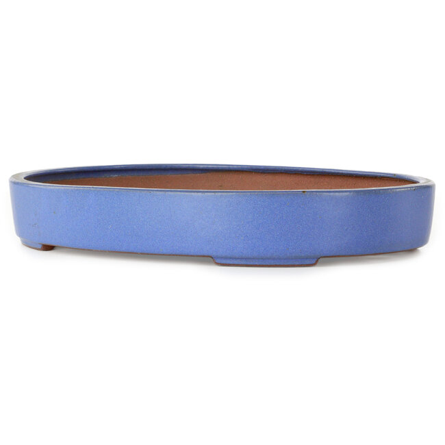 Oval blue bonsai pot by Seizan (Reihou, Kataoka Katsushi, master Seizan kiln) - 345 x 255 x 52 mm