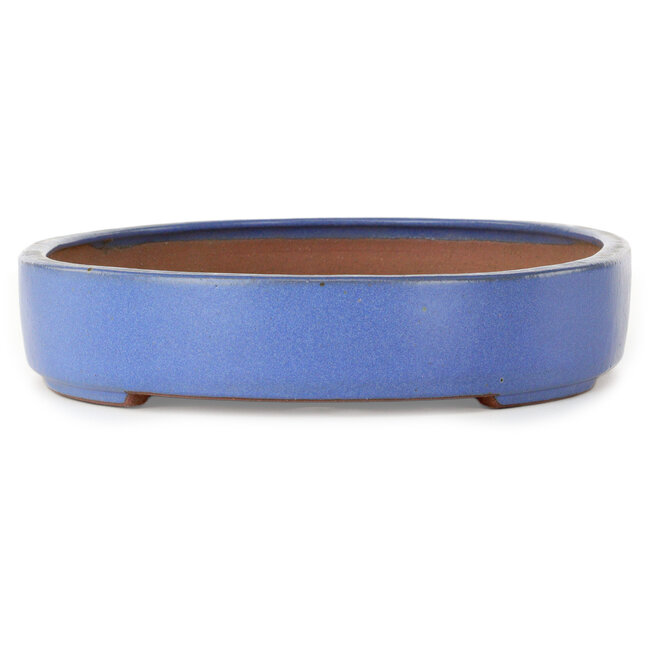 Pot à bonsaï ovale bleu par Seizan (Reihou, Kataoka Katsushi, maître four Seizan) - 345 x 255 x 52 mm