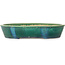 Oval green bonsai pot by Aiba Koyou - 372 x 303 x 70 mm