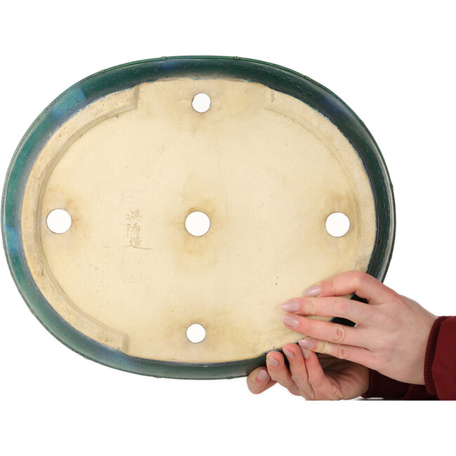 Maceta ovalada para bonsái verde de Aiba Koyou - 372 x 303 x 70 mm