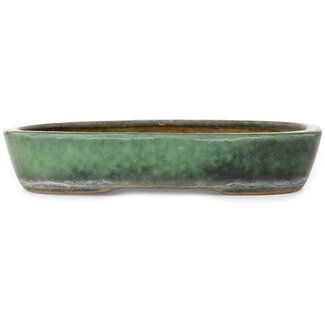  Shuuhou (Hidemi Kataoka) Maceta para bonsái verde ovalada de 357 mm de Shuhou, Tokoname, Japón