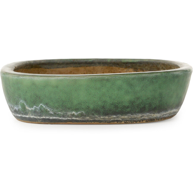 Pot ovale vert pour bonsaï de Shuhou - 357 x 270 x 65 mm