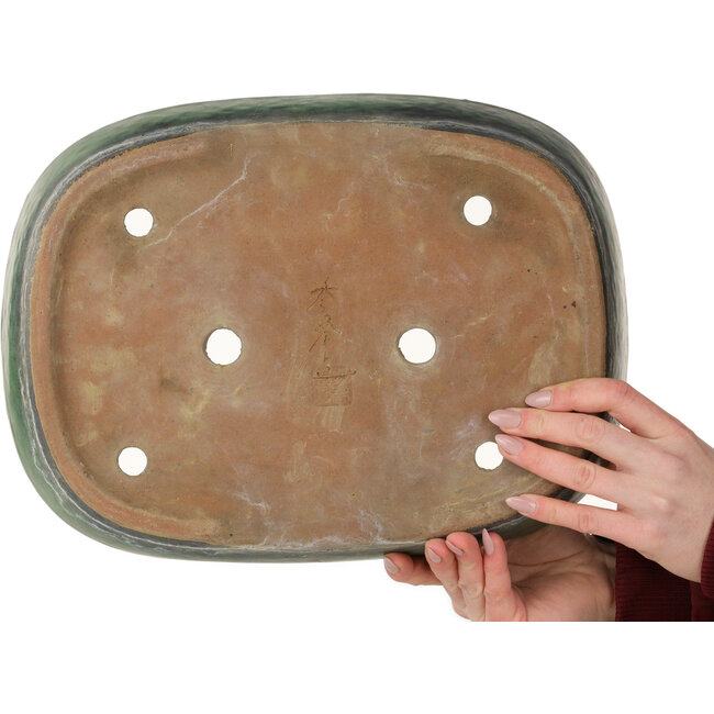 Pot ovale vert pour bonsaï de Shuhou - 357 x 270 x 65 mm