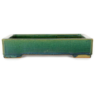  Shuuhou (Hidemi Kataoka) Pot à bonsaï vert carré de 280 mm par Shuhou, Tokoname, Japon
